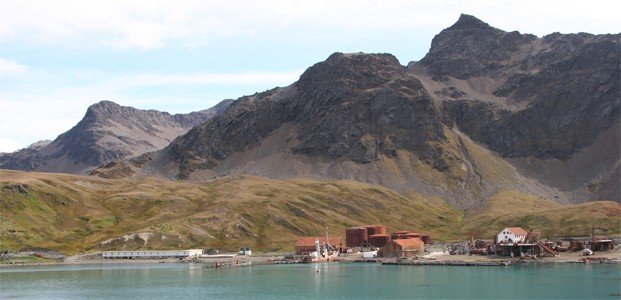 South Georgia. Zeilen van Ushuaia naar Kaapstad met de bark Europa.