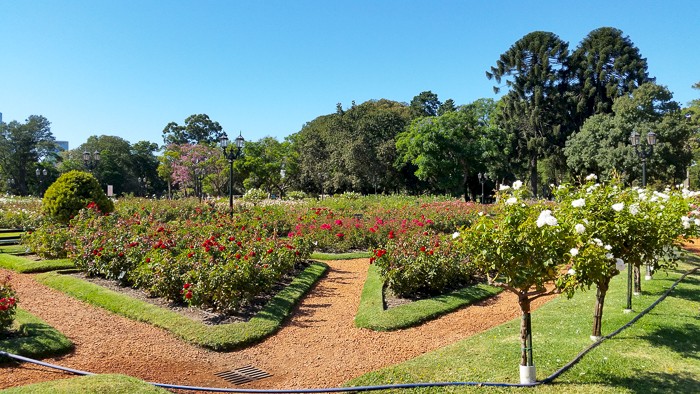 Rozentuin in het park in Palermo, Paseo del Rosedal.