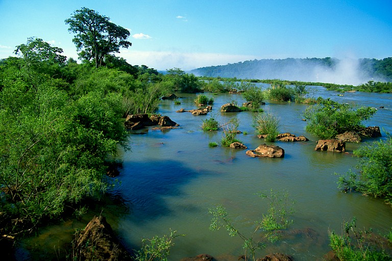 Voor de waterval zijn er enkele moerasgedeelten. Iguazú, Argentinië.